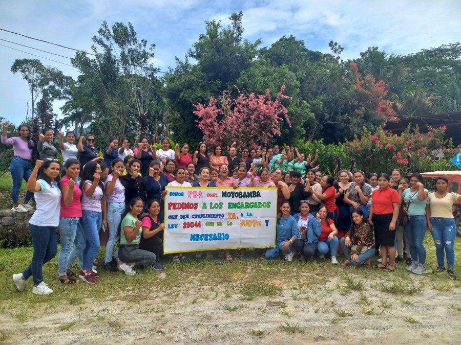 fortaleciendo las capacidades pedagógicas de las Promotoras Educativas Comunitarias del Programa No Escolarizado de Educación Inicial - PRONOEI ciclo I y II